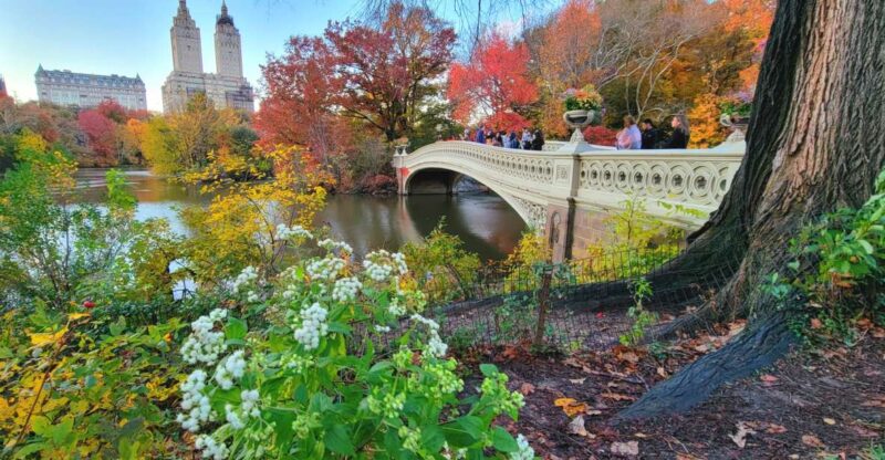 NYC: Central Park Secrets and Highlights Walking Tour - Wildlife and Nature in the Urban Oasis
