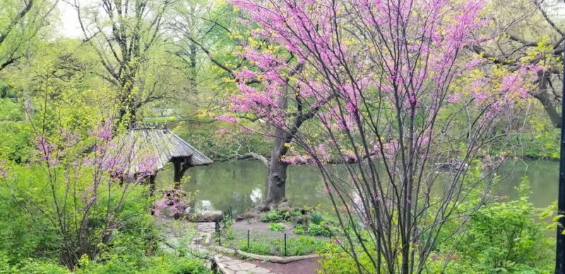 NYC: Central Park Secrets and Highlights Walking Tour - Practical Details and Recommendations