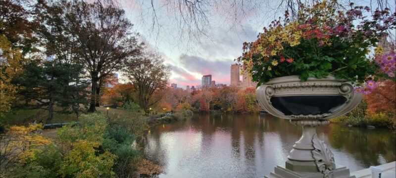 NYC: Central Park Secrets and Highlights Walking Tour - Who Will Most Enjoy This Tour?