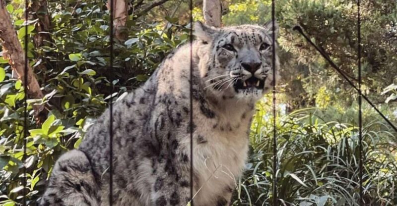 NYC: Central Park Zoo & Central Park Guided Walking Tour - Discovering Central Park with a Local Guide