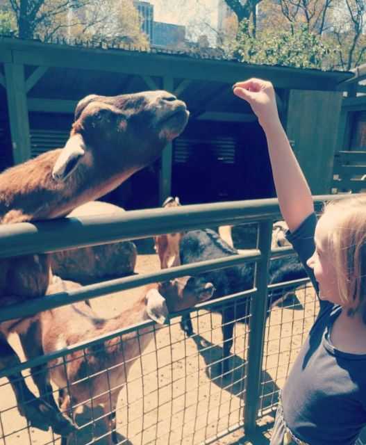 NYC: Central Park Zoo & Central Park Guided Walking Tour - What to Expect at the Central Park Zoo