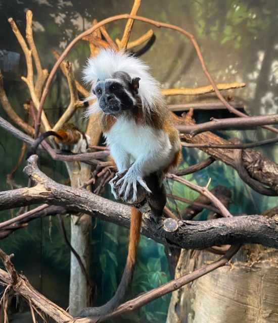 NYC: Central Park Zoo & Central Park Guided Walking Tour - Frequently Asked Questions