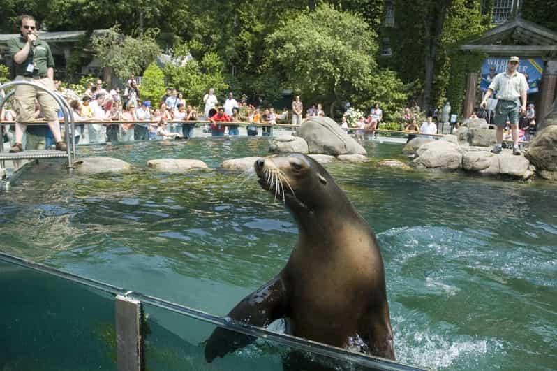 NYC: Central Park Zoo Entry Ticket & Manhattan Walking Tour - Key Points