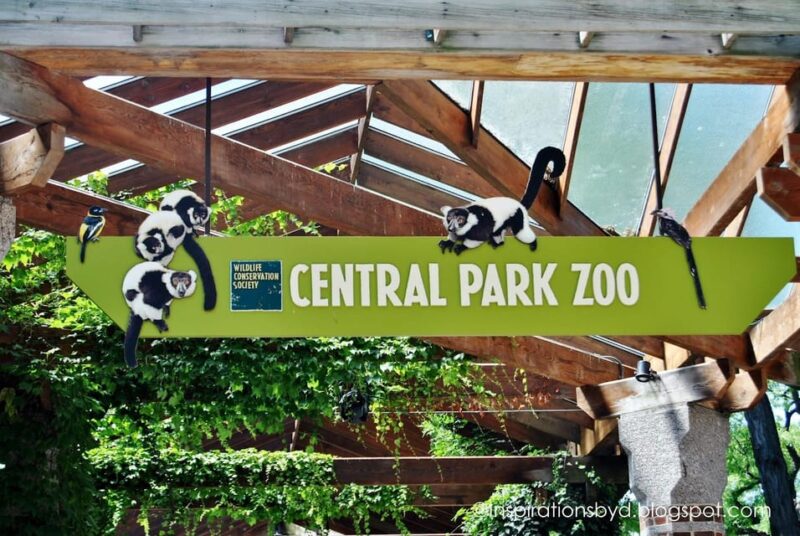 NYC: Central Park Zoo Entry Ticket & Manhattan Walking Tour - Practical Details: Meeting Point and Accessibility