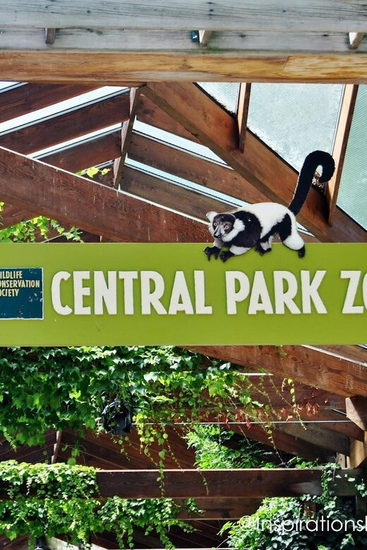 NYC: Central Park Zoo Entry Ticket & Manhattan Walking Tour - Pacing, Duration, and Group Size