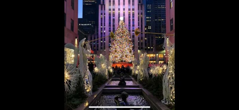 NYC Christmas Express: Holiday Lights Guided Tour - Discover the Festive Highlights of the NYC Christmas Express