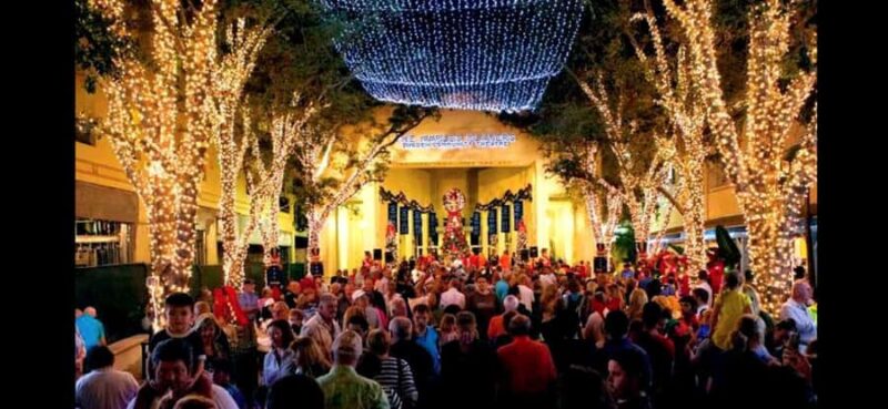 NYC Christmas Express: Holiday Lights Guided Tour - Key Points