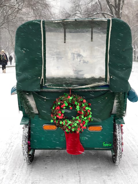 NYC: Elf & Home Alone 2 Locations Central Park Pedicab Tour - Value for Money and Booking Options