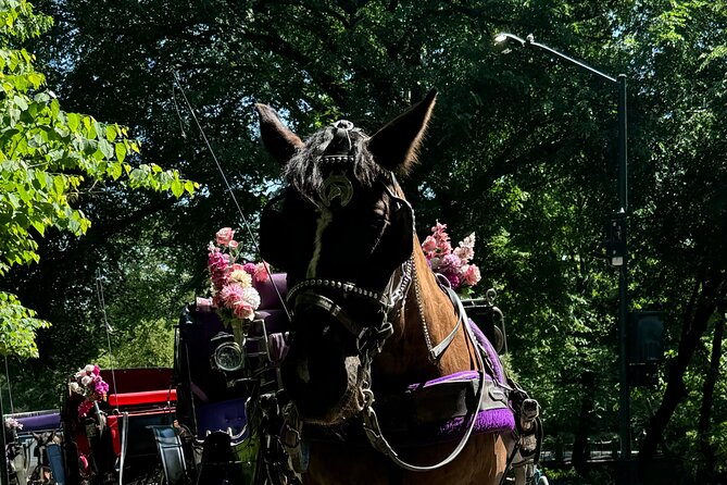 NYC Empire State Horses Carriage Ride in Central Park (45 Mins) - Practical Details: Meeting Point and Group Size