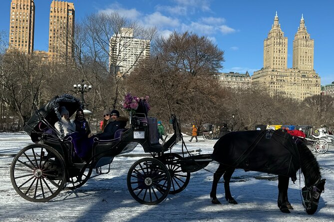 NYC Empire State Horses Carriage Ride in Central Park (45 Mins) - Why This Tour Stands Out in Central Park