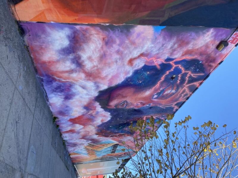 NYC | French guided tour Bushwick & Williamsburg - Key Points