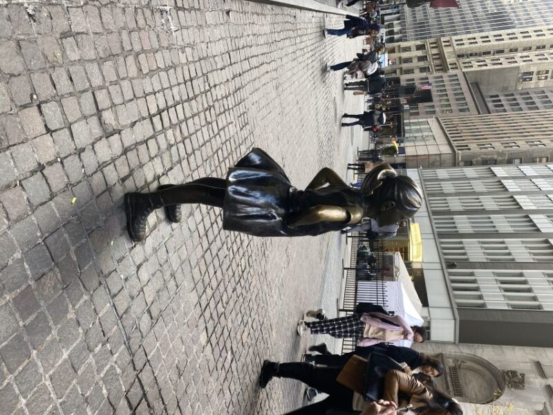 NYC | French guided tour Southern Manhattan - South Street Seaport and the Revitalization of the East River Waterfront