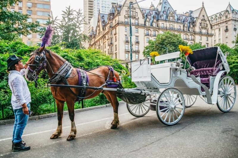 NYC: Guided Central Park Horse Carriage Ride - The Starting Point and How to Find Your Ride