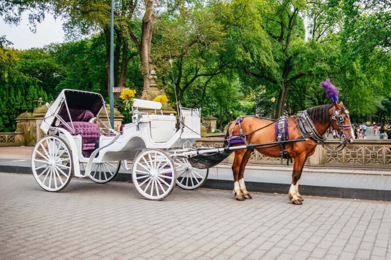 NYC: Guided Central Park Horse Carriage Ride - Practical Details and Comfort Tips