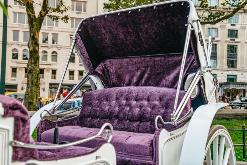 NYC: Guided Central Park Horse Carriage Ride - Central Park Horse Carriage Ride for a Special Occasion