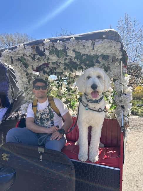 NYC: Guided Deluxe Pedicab Tour of Central Park - Why This Tour Offers a Unique Way to See Central Park