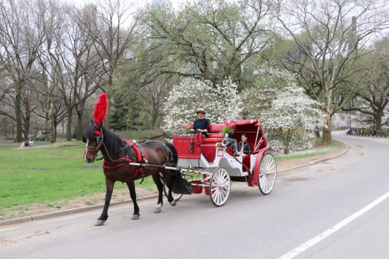 NYC: Guided Standard Central Park Carriage Ride (4 Adults) - Discover Central Park in Style with a Guided Horse-Drawn Carriage Ride