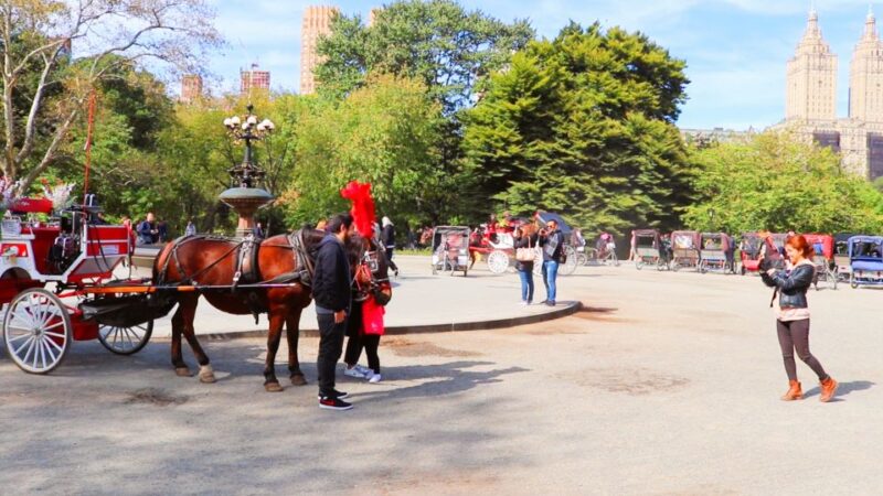 NYC: Guided Standard Central Park Carriage Ride (4 Adults) - Key Points
