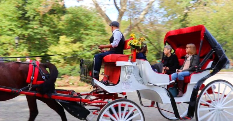 NYC: Guided Standard Central Park Carriage Ride (4 Adults) - The 40-Minute Ride: Exploring Central Park’s Landmarks