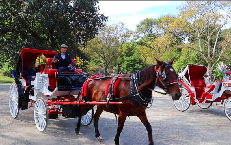 NYC: Guided Standard Central Park Carriage Ride (4 Adults) - Meet Your Guide at a Central NYC Location