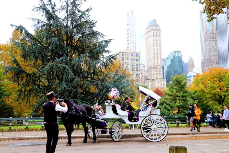 NYC: Guided Standard Central Park Carriage Ride (4 Adults) - Frequently Asked Questions