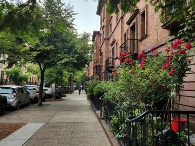 NYC: Harlem Guided Walking Tour - Best Time to Take the Tour