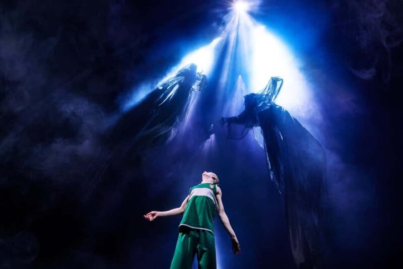 NYC: Harry Potter and the Cursed Child on Broadway - Broadway Theatre and Seating Experience