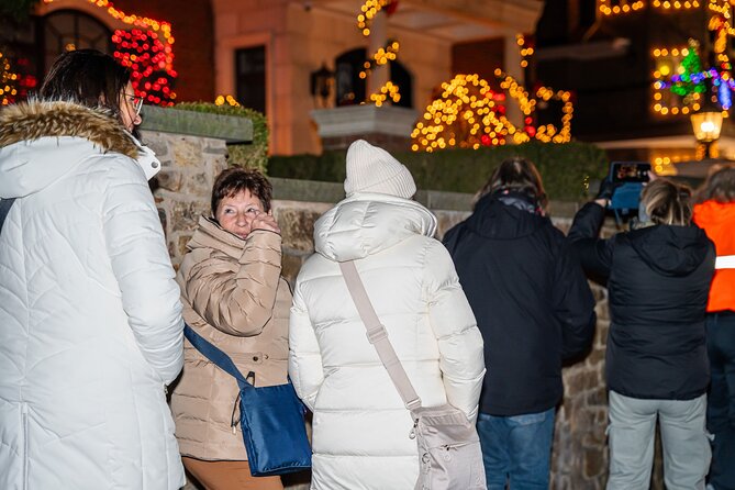 NYC Holiday Lights and Dyker Heights Luxury Bus Tour - Who Should Consider This Tour?