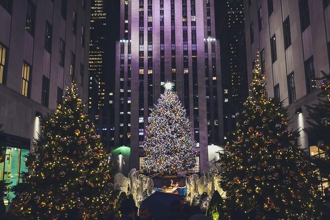 NYC Holiday Lights and Magic Pedicab Tour - Key Points