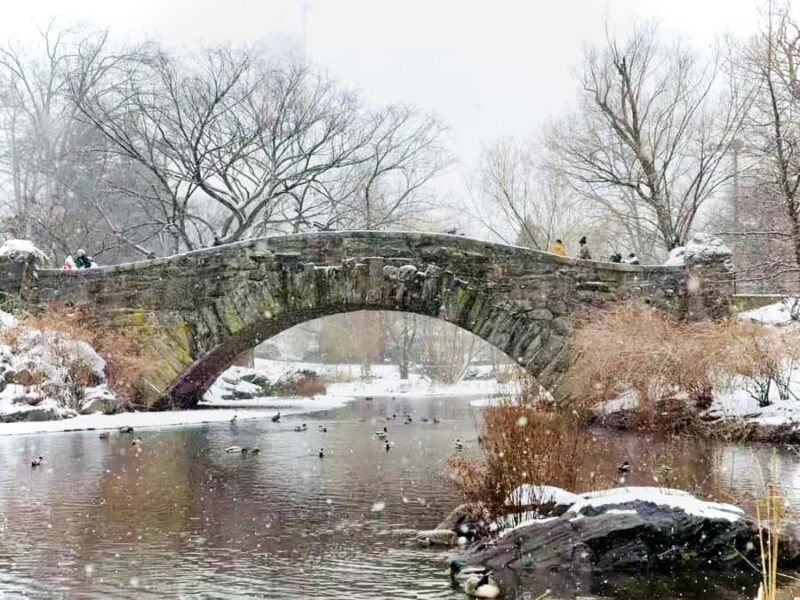 NYC: Home Alone 2 & Elf Locations Tour in Central Park - Footage and Movie Trivia Shared by Guides