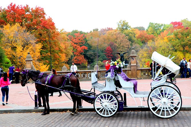 NYC Horse Carriage Ride in Central Park (50 Min. Up to 4 Adults) - Discover the Inspirational Balto Statue and Its Significance