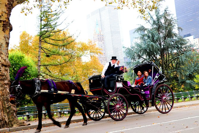 NYC Horse Carriage Ride in Central Park (50 Min. Up to 4 Adults) - Relax at Bethesda Terrace and Fountain