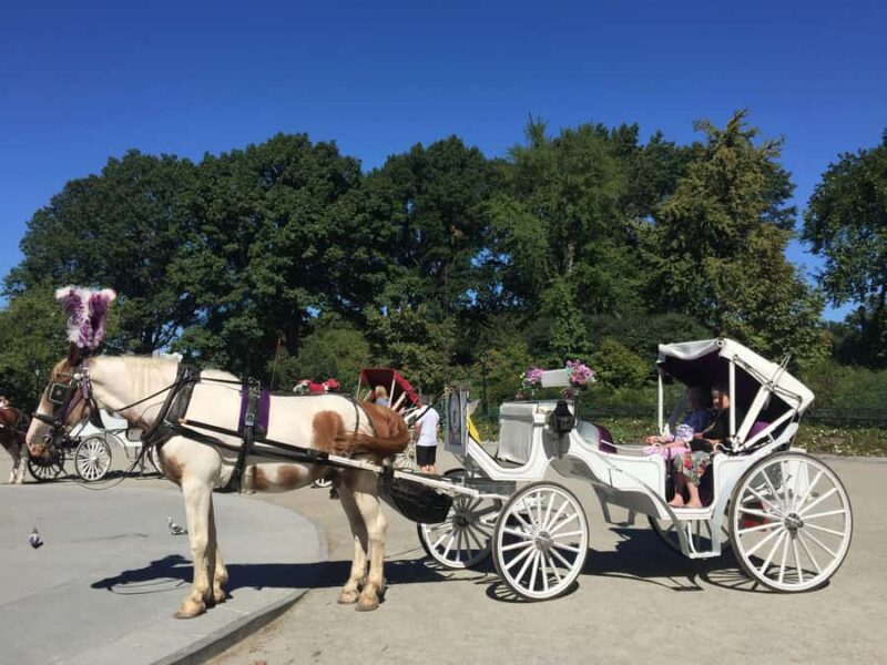 NYC: Long Central Park Horse Carriage Ride with Photo Stop - Key Points