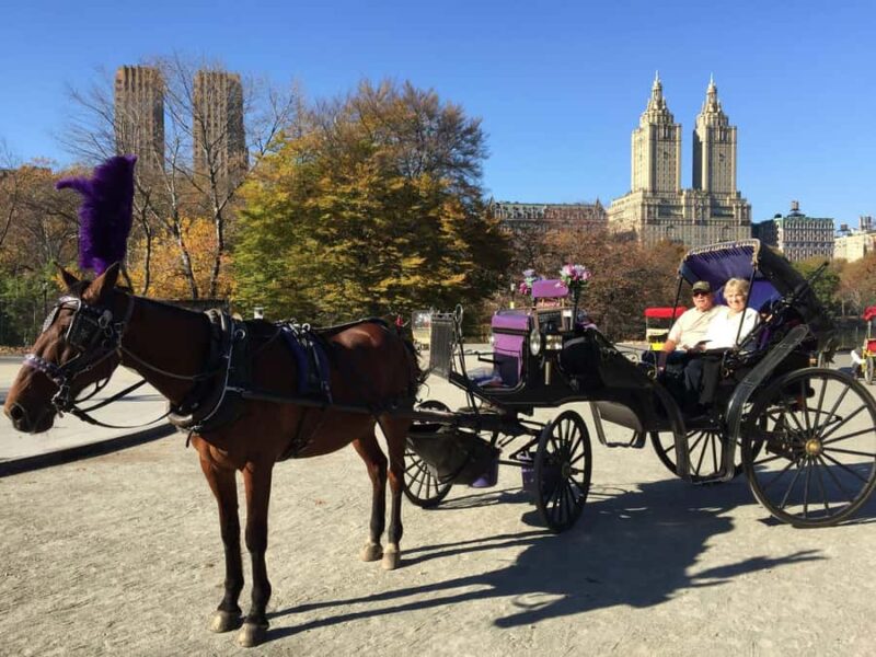 NYC: Long Central Park Horse Carriage Ride with Photo Stop - Key Attractions Passed During the Ride