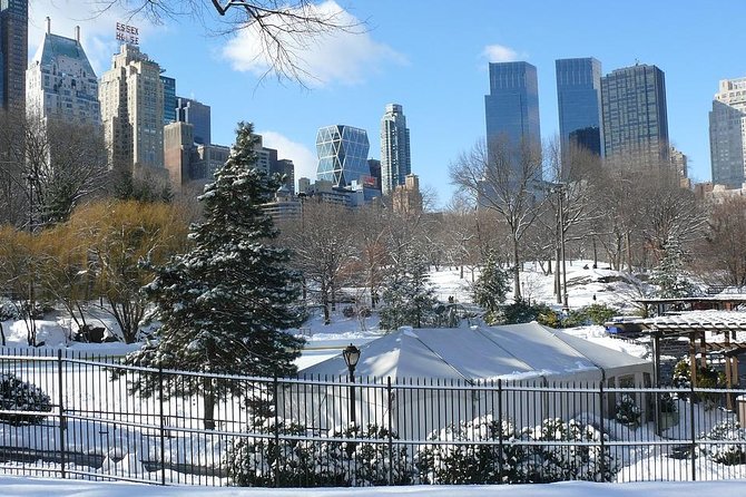 NYC Manhattan Private Custom Christmas Tour with a Local Guide - Bryant Park Winter Village and Holiday Shops