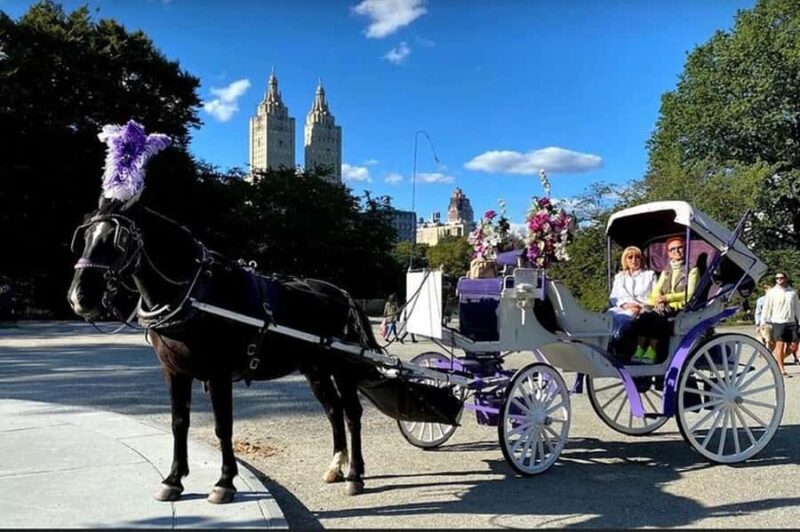 NYC: Private Central Park Horse & Carriage Ride - Key Points