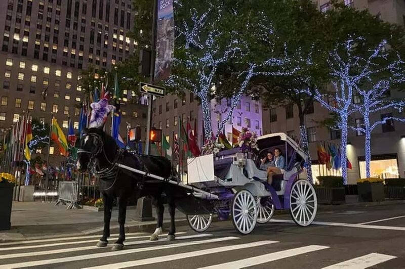 NYC: Private Central Park Horse & Carriage Ride - Logistics: Easy Booking and Flexible Cancellation