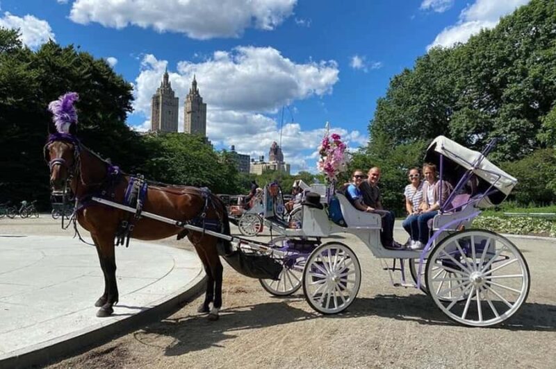 NYC: Private Central Park Horse & Carriage Ride - Unique Experience Led by a Long-Standing Provider
