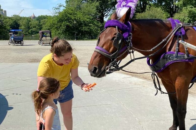 NYC: Private Central Park Horse & Carriage Ride - Final Thoughts: A Charming and Intimate View of Central Park