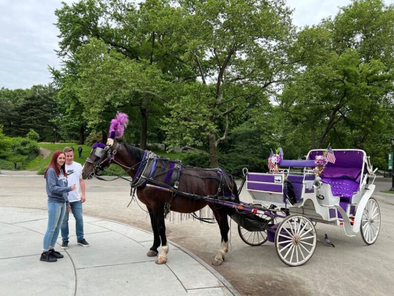 NYC: Private Central Park Horse Carriage Ride with Guide - The Comfort and Practical Aspects of the Ride
