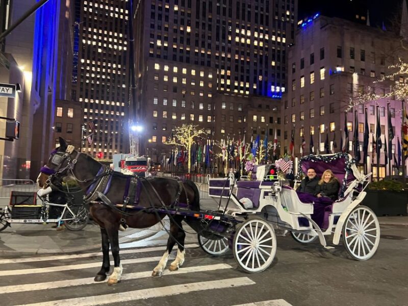 NYC: Private Central Park Horse Carriage Ride with Guide - Booking Flexibility and Weather Considerations