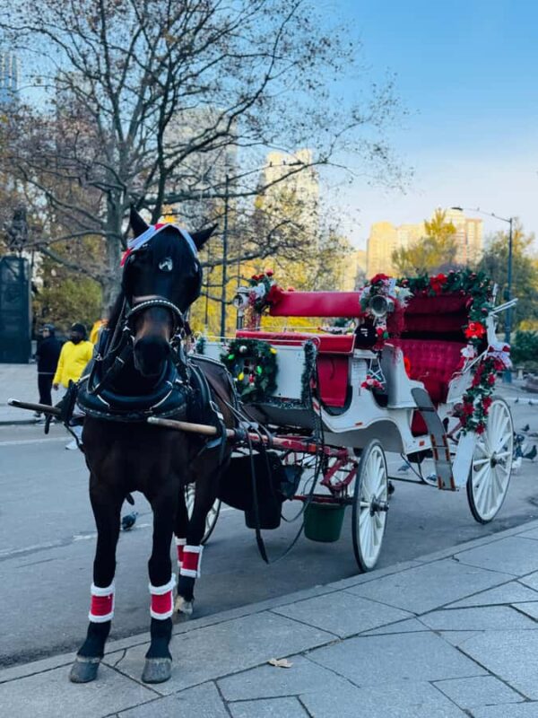 NYC: Private Central Park Horse-Drawn Carriage Tour - Comparing This Tour to Other Central Park Experiences