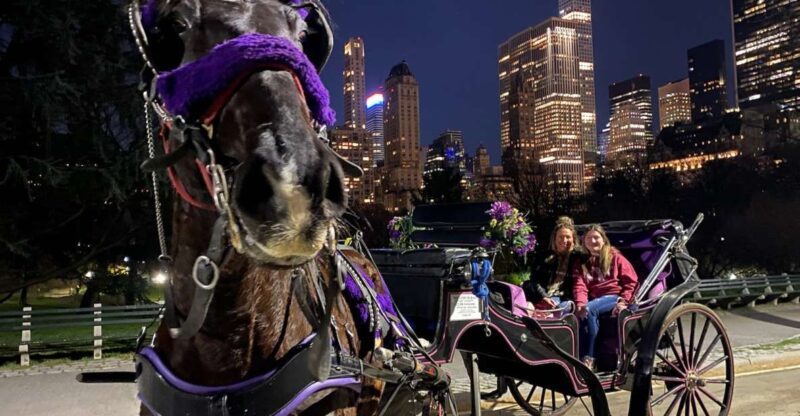 NYC: Private Christmas Lights Horse Carriage Ride - Practical Details: Meeting Point, Duration, and Weather
