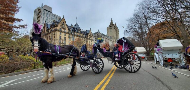 NYC: Private Christmas Lights Horse Carriage Ride - Comparison with Similar Experiences