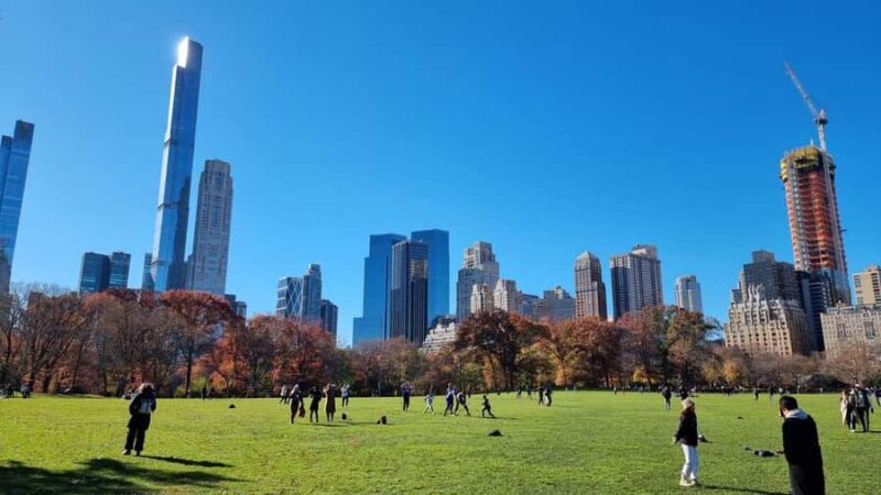 NYC: Romantic Central Park Carriage Experience - Key Points