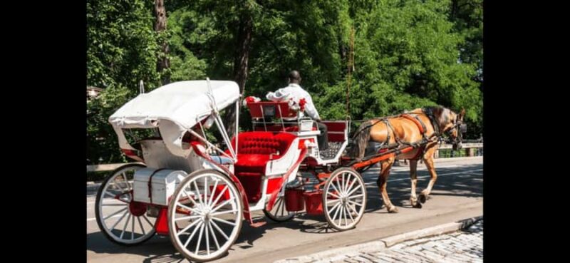 NYC: Romantic Central Park Carriage Experience - Practical Details: Booking, Accessibility, and Flexibility