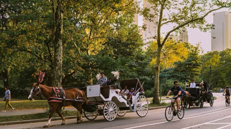 NYC: Romantic Central Park Carriage Experience - Who Will Love This Central Park Carriage Ride
