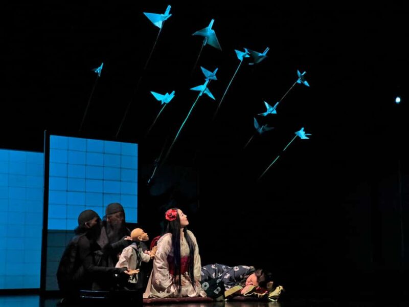 NYC: The Metropolitan Opera Tickets - Practicalities: Ticketing, Language Options, and Rules