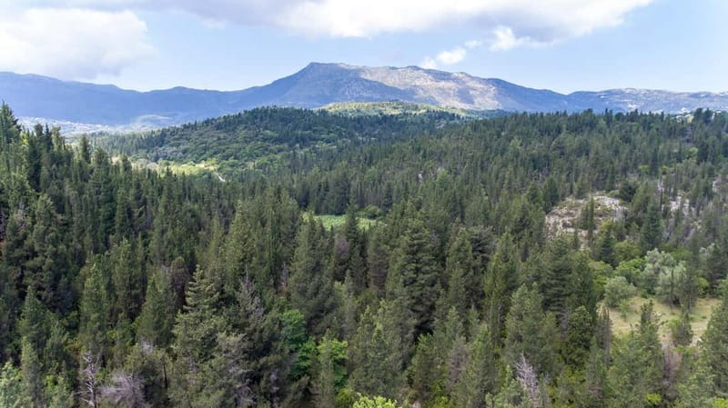 Nydri: Discover Local Culture, History & Beauty Guided Hike - Pacing, Physical Requirements, and Best Suitable Attendees