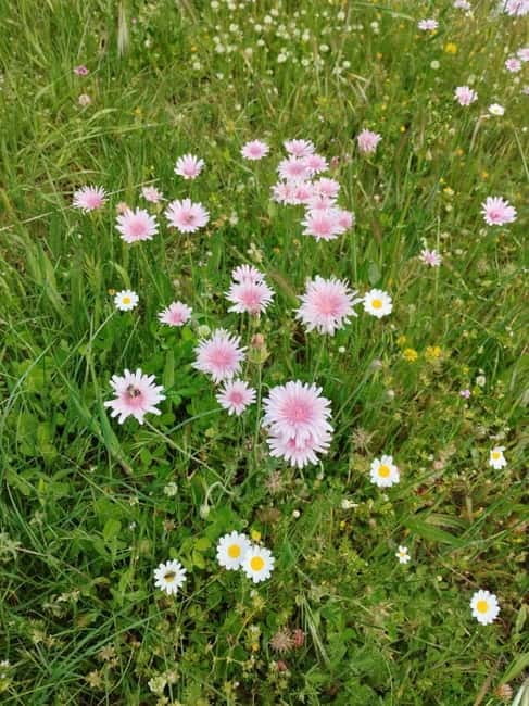 Nydri: Discover Local Culture, History & Beauty Guided Hike - Why Choose This Tour for Your Lefkada Trip?